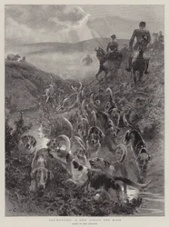 Cub-Hunting, um giro pelo mouro